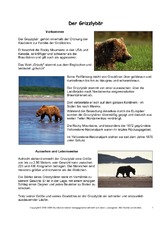 Grizzly-Steckbrief-Seite-1.pdf